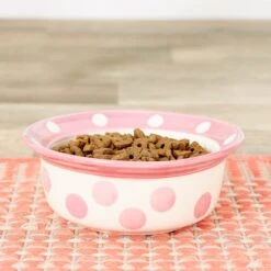 PetRageous Designs Polka Paws Deep Ceramic Dog & Cat Bowl 11 PetRageous Designs Polka Paws Deep Ceramic Dog & Cat Bowl -Blue Buffalo || ROYAL CANIN || Wellness Sales 70325 PT8. AC SS1800 V1539704630