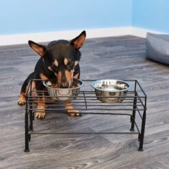 PetRageous Designs Set The Table Non-Skid Pet Bowl Wire Stand -Blue Buffalo || ROYAL CANIN || Wellness Sales 70410 PT7. AC SS1800 V1523374498