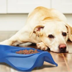 Van Ness Lightweight Double Plastic Dog & Cat Dish -Blue Buffalo || ROYAL CANIN || Wellness Sales 70458 PT2. AC SS1800 V1628558778