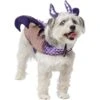 Frisco Dragon Dog & Cat Costume Accessory -Blue Buffalo || ROYAL CANIN || Wellness Sales 706582 MAIN. AC SS1800 V1689271214
