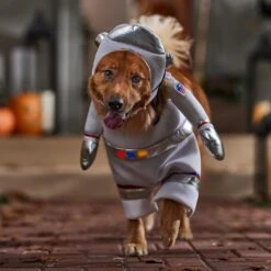 Frisco Front Walking LED Astronaut Dog & Cat Costume 16 Frisco Front Walking LED Astronaut Dog & Cat Costume -Blue Buffalo || ROYAL CANIN || Wellness Sales 707630 PT7. AC SS1800 V1689278700