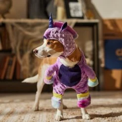 Frisco Front Walking Unicorn Dog & Cat Costume 18 Frisco Front Walking Unicorn Dog & Cat Costume -Blue Buffalo || ROYAL CANIN || Wellness Sales 707678 PT7. AC SS1800 V1689355019