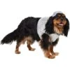 Frisco Disco Ball Dog & Cat Costume -Blue Buffalo || ROYAL CANIN || Wellness Sales 707934 MAIN. AC SS1800 V1689351464