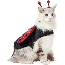 Frisco Glittered Ladybug Dog & Cat Costume -Blue Buffalo || ROYAL CANIN || Wellness Sales 708254 PT2. AC SS1800 V1689350599