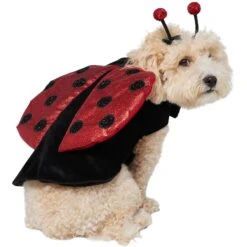 Frisco Glittered Ladybug Dog & Cat Costume -Blue Buffalo || ROYAL CANIN || Wellness Sales 708254 PT3. AC SS1800 V1689350986