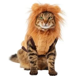 Frisco Lion Love Dog & Cat Costume -Blue Buffalo || ROYAL CANIN || Wellness Sales 708318 PT2. AC SS1800 V1689341486