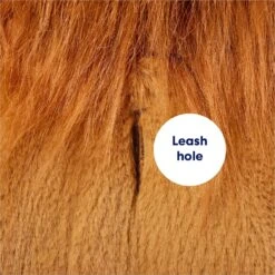 Frisco Lion Love Dog & Cat Costume -Blue Buffalo || ROYAL CANIN || Wellness Sales 708318 PT6. AC SS1800 V1689351045