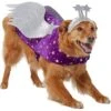Frisco Shooting Stars Dog & Cat Costume 1 Frisco Shooting Stars Dog & Cat Costume -Blue Buffalo || ROYAL CANIN || Wellness Sales 708614 MAIN. AC SS1800 V1689340940