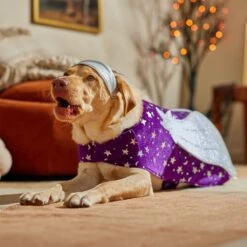 Frisco Shooting Stars Dog & Cat Costume 16 Frisco Shooting Stars Dog & Cat Costume -Blue Buffalo || ROYAL CANIN || Wellness Sales 708614 PT7. AC SS1800 V1689278699