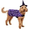 Frisco Cosmic Witch Dog & Cat Costume 1 Frisco Cosmic Witch Dog & Cat Costume -Blue Buffalo || ROYAL CANIN || Wellness Sales 708982 MAIN. AC SS1800 V1689282565