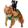 Frisco Pumpkin Cat Ride-On Dog & Cat Costume -Blue Buffalo || ROYAL CANIN || Wellness Sales 709294 MAIN. AC SS1800 V1689270833