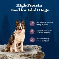 Blue Buffalo Wilderness Rocky Mountain Recipe Adult High Protein Natural Bison & Grain Dry Dog Food, 28-lb Bag -Blue Buffalo || ROYAL CANIN || Wellness Sales 711246 PT3. AC SS1800 V1694548942
