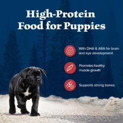 Blue Buffalo Wilderness Rocky Mountain Recipe Puppy High Protein Natural Red Meat & Grain Dry Dog Food -Blue Buffalo || ROYAL CANIN || Wellness Sales 711310 PT2. AC SS1800 V1694547716