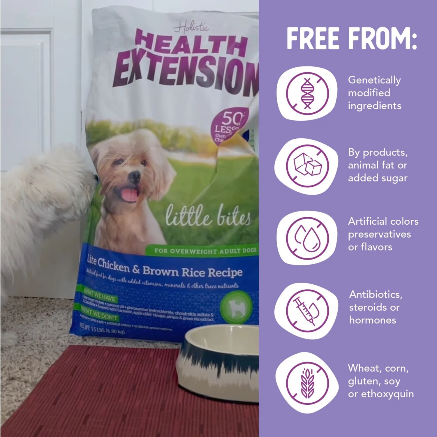 Health Extension Little Bites Lite Chicken & Brown Rice Recipe Dry Dog Food 9 Health Extension Little Bites Lite Chicken & Brown Rice Recipe Dry Dog Food - Image 7