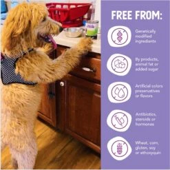 Health Extension Grain-Free Chicken Canned Dog Food -Blue Buffalo || ROYAL CANIN || Wellness Sales 71303 PT6. AC SS1800 V1692039422