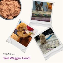 Health Extension Grain-Free Chicken Canned Dog Food -Blue Buffalo || ROYAL CANIN || Wellness Sales 71303 PT8. AC SS1800 V1692037157