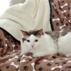 HappyCare Textiles Advanced Pets Waterproof Cat & Dog Blanket, 50x60-in -Blue Buffalo || ROYAL CANIN || Wellness Sales 715854 PT4. AC SS1800 V1669663044