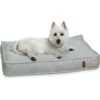 Bark And Slumber Birdie Plush Eco Friendly Fabric Lounger Dog Bed -Blue Buffalo || ROYAL CANIN || Wellness Sales 716998 MAIN. AC SS1800 V1669666582
