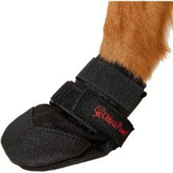 Ultra Paws Durable Dog Boots, 4 Count 10 Ultra Paws Durable Dog Boots, 4 Count -Blue Buffalo || ROYAL CANIN || Wellness Sales 71725 PT3. AC SS1800 V1534453396