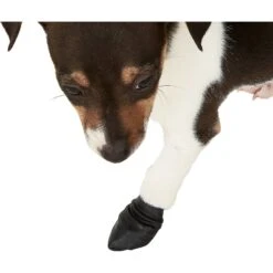 Pawz Waterproof Dog Boots, Black -Blue Buffalo || ROYAL CANIN || Wellness Sales 71806 PT5. AC SS1800 V1536077794