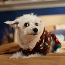 Frisco Cozy Plush Fleece Dog & Cat PJs, Mushrooms -Blue Buffalo || ROYAL CANIN || Wellness Sales 718950 PT7. AC SS1800 V1692378098