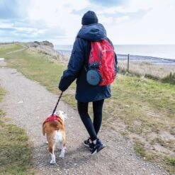 KONG Fold-Up Double Dog Bowl 12 KONG Fold-Up Double Dog Bowl -Blue Buffalo || ROYAL CANIN || Wellness Sales 721518 PT4. AC SS1800 V1671029542
