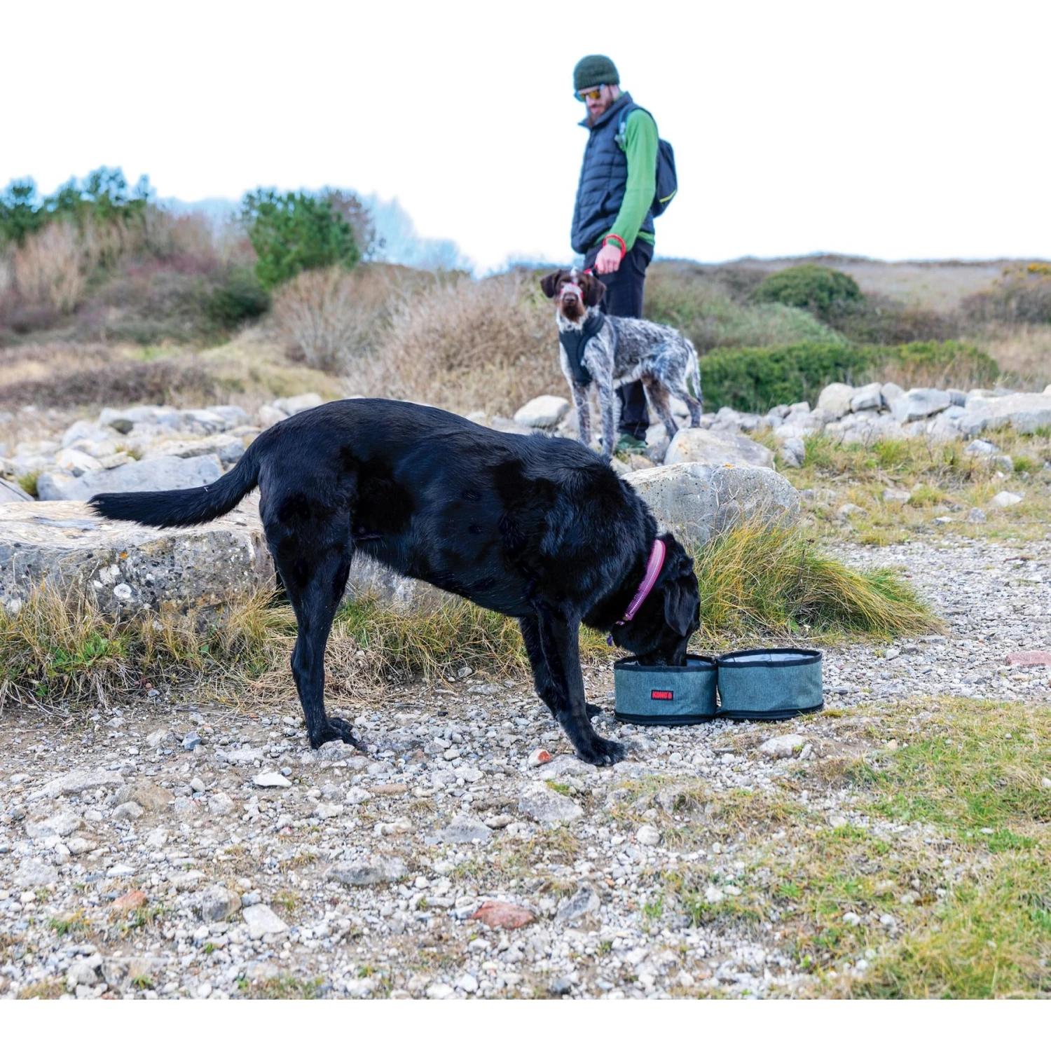 KONG Fold-Up Double Dog Bowl 8 KONG Fold-Up Double Dog Bowl - Image 6