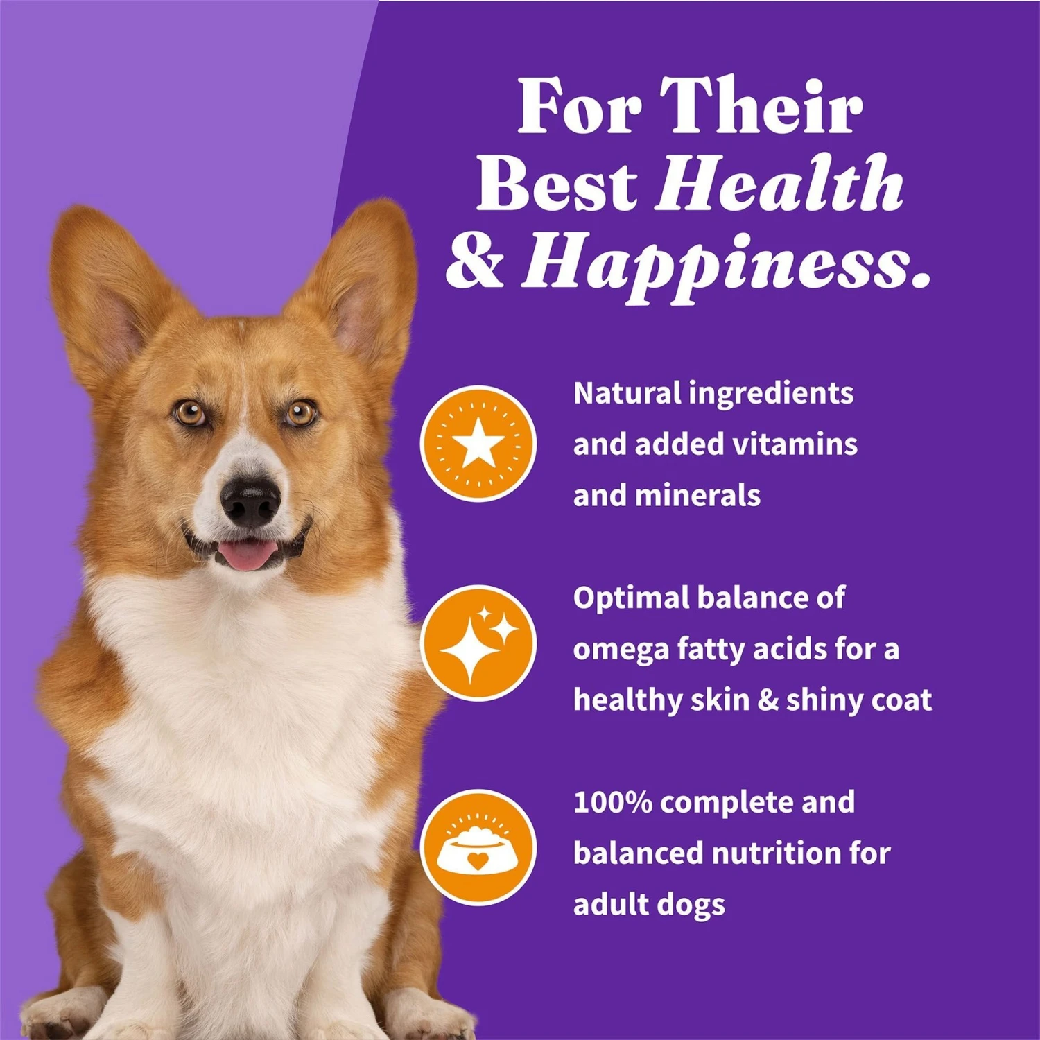 Halo Holistic Complete Digestive Health Grain-Free Chicken & Sweet Potato Dog Food Recipe Small Breed Dry Dog Food 9 Halo Holistic Complete Digestive Health Grain-Free Chicken & Sweet Potato Dog Food Recipe Small Breed Dry Dog Food - Image 7