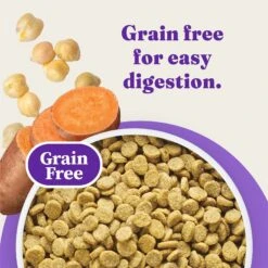 Halo Holistic Complete Digestive Health Grain-Free Chicken & Sweet Potato Dog Food Recipe Adult Dry Dog Food 16 Halo Holistic Complete Digestive Health Grain-Free Chicken & Sweet Potato Dog Food Recipe Adult Dry Dog Food -Blue Buffalo || ROYAL CANIN || Wellness Sales 721966 PT7. AC SS1800 V1669838102