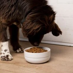 Waggo Cling Non-Skid Silicone Bottom Dog & Cat Bowl -Blue Buffalo || ROYAL CANIN || Wellness Sales 731438 PT3. AC SS1800 V1698346581