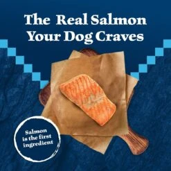 Blue Buffalo Wilderness Adult High Protein Natural Salmon & Wholesome Grains Dry Dog Food -Blue Buffalo || ROYAL CANIN || Wellness Sales 733494 PT2. AC SS1800 V1694550753
