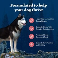 Blue Buffalo Wilderness Adult High Protein Natural Salmon & Wholesome Grains Dry Dog Food -Blue Buffalo || ROYAL CANIN || Wellness Sales 733494 PT3. AC SS1800 V1694550811