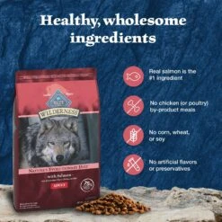 Blue Buffalo Wilderness Adult High Protein Natural Salmon & Wholesome Grains Dry Dog Food -Blue Buffalo || ROYAL CANIN || Wellness Sales 733494 PT5. AC SS1800 V1694549003
