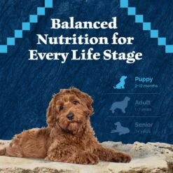 Blue Buffalo Wilderness Puppy High Protein Natural Chicken & Wholesome Grains Dry Dog Food 18 Blue Buffalo Wilderness Puppy High Protein Natural Chicken & Wholesome Grains Dry Dog Food -Blue Buffalo || ROYAL CANIN || Wellness Sales 733510 PT7. AC SS1800 V1694550813