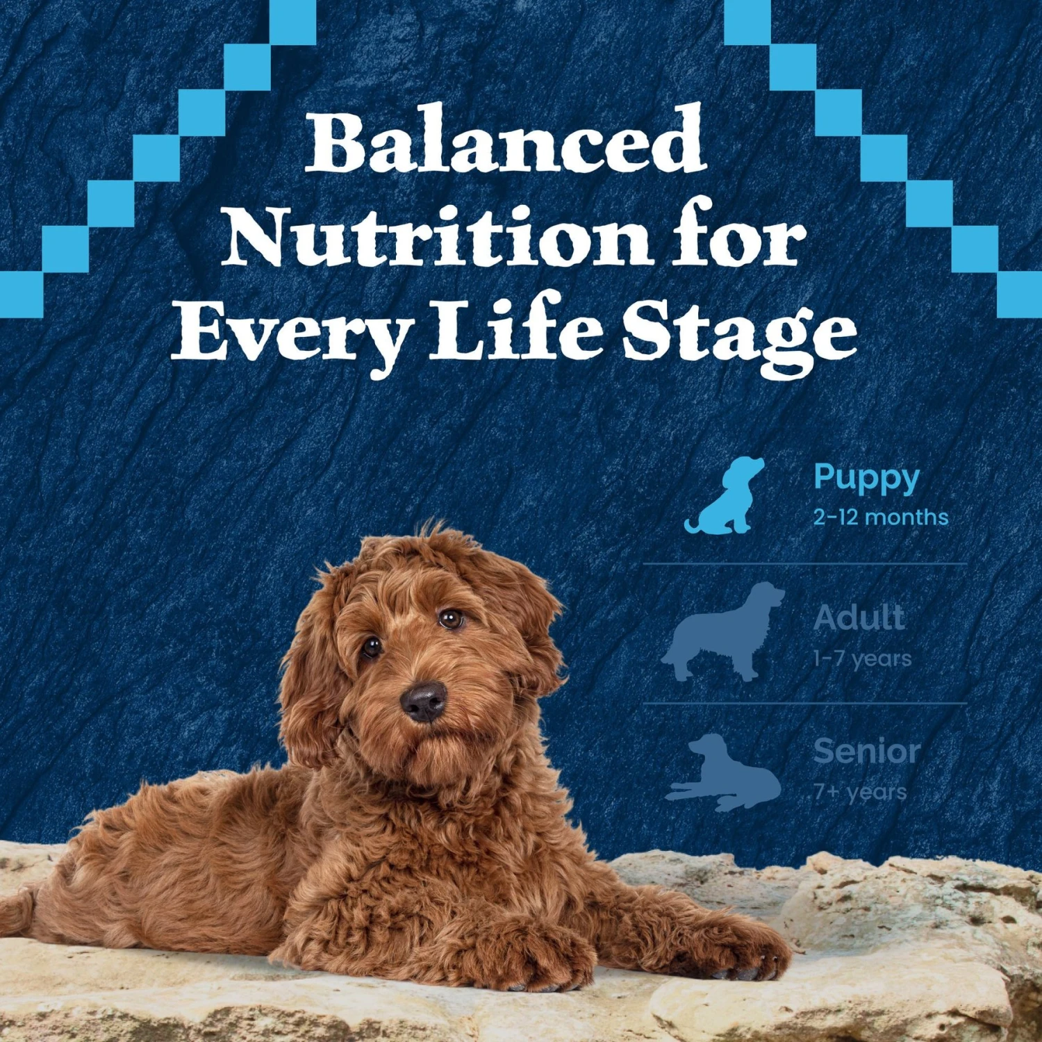 Blue Buffalo Wilderness Puppy High Protein Natural Chicken & Wholesome Grains Dry Dog Food 10 Blue Buffalo Wilderness Puppy High Protein Natural Chicken & Wholesome Grains Dry Dog Food - Image 8