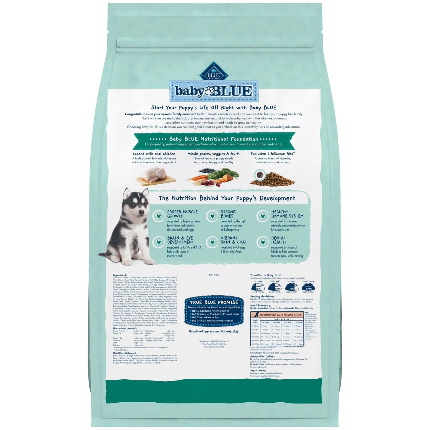 Blue Buffalo High Protein Puppy Chicken Dry Dog Food 4 Blue Buffalo High Protein Puppy Chicken Dry Dog Food - Image 2