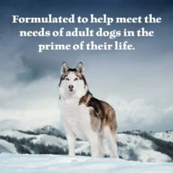 Blue Buffalo Wilderness Beef & Salmon Variety Pack Wet Dog Food 13 Blue Buffalo Wilderness Beef & Salmon Variety Pack Wet Dog Food -Blue Buffalo || ROYAL CANIN || Wellness Sales 735422 PT3. AC SS1800 V1671574470