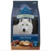 Blue Buffalo Wilderness Senior High Protein Natural Chicken & Wholesome Grains Dry Dog Food -Blue Buffalo || ROYAL CANIN || Wellness Sales 735454 MAIN. AC SS1800 V1694547152