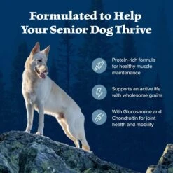 Blue Buffalo Wilderness Senior High Protein Natural Chicken & Wholesome Grains Dry Dog Food -Blue Buffalo || ROYAL CANIN || Wellness Sales 735454 PT3. AC SS1800 V1694547716