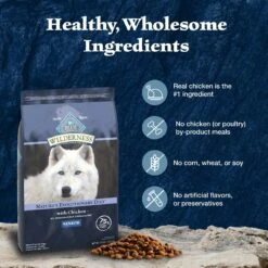 Blue Buffalo Wilderness Senior High Protein Natural Chicken & Wholesome Grains Dry Dog Food -Blue Buffalo || ROYAL CANIN || Wellness Sales 735454 PT5. AC SS1800 V1694550751