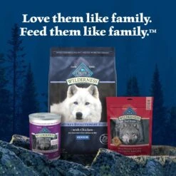 Blue Buffalo Wilderness Senior High Protein Natural Chicken & Wholesome Grains Dry Dog Food -Blue Buffalo || ROYAL CANIN || Wellness Sales 735454 PT8. AC SS1800 V1694538072