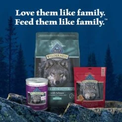 Blue Buffalo Wilderness Large Breed Adult High Protein Natural Salmon & Wholesome Grains Dry Dog Food, 28-lb Bag -Blue Buffalo || ROYAL CANIN || Wellness Sales 735518 PT8. AC SS1800 V1694547090