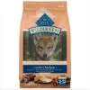 Blue Buffalo Wilderness Large Breed Puppy High Protein Natural Chicken & Wholesome Grains Dry Dog Food, 28-lb Bag -Blue Buffalo || ROYAL CANIN || Wellness Sales 735534 MAIN. AC SS1800 V1694547150