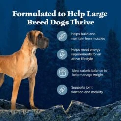 Blue Buffalo Wilderness Large Breed Healthy Weight Adult High Protein Natural Chicken & Wholesome Grains Dry Dog Food, 28-lb Bag -Blue Buffalo || ROYAL CANIN || Wellness Sales 735550 PT3. AC SS1800 V1694548943