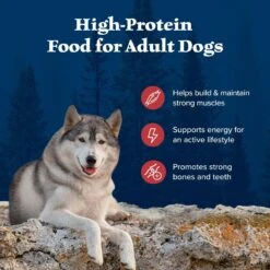 Blue Buffalo Wilderness Rocky Mountain Recipe Adult High Protein Natural Red Meat & Grain Dry Dog Food -Blue Buffalo || ROYAL CANIN || Wellness Sales 735590 PT3. AC SS1800 V1694547716