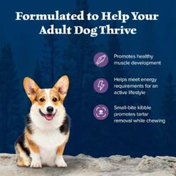 Blue Buffalo Wilderness Adult Small Bite High Protein Natural Chicken & Wholesome Grains Dry Dog Food -Blue Buffalo || ROYAL CANIN || Wellness Sales 735670 PT3. AC SS1800 V1694548888