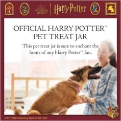 Fetch For Pets Harry Potter Hedwig Dog Treat Jar -Blue Buffalo || ROYAL CANIN || Wellness Sales 738710 PT2. AC SS1800 V1678907363