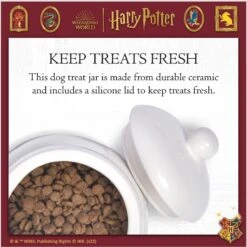 Fetch For Pets Harry Potter Hedwig Dog Treat Jar -Blue Buffalo || ROYAL CANIN || Wellness Sales 738710 PT4. AC SS1800 V1678907363