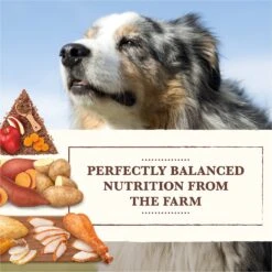 Whole Earth Farms Grain-Free Chicken & Turkey Recipe Dry Dog Food 13 Whole Earth Farms Grain-Free Chicken & Turkey Recipe Dry Dog Food -Blue Buffalo || ROYAL CANIN || Wellness Sales 73970 PT2. AC SS1800 V1647898289