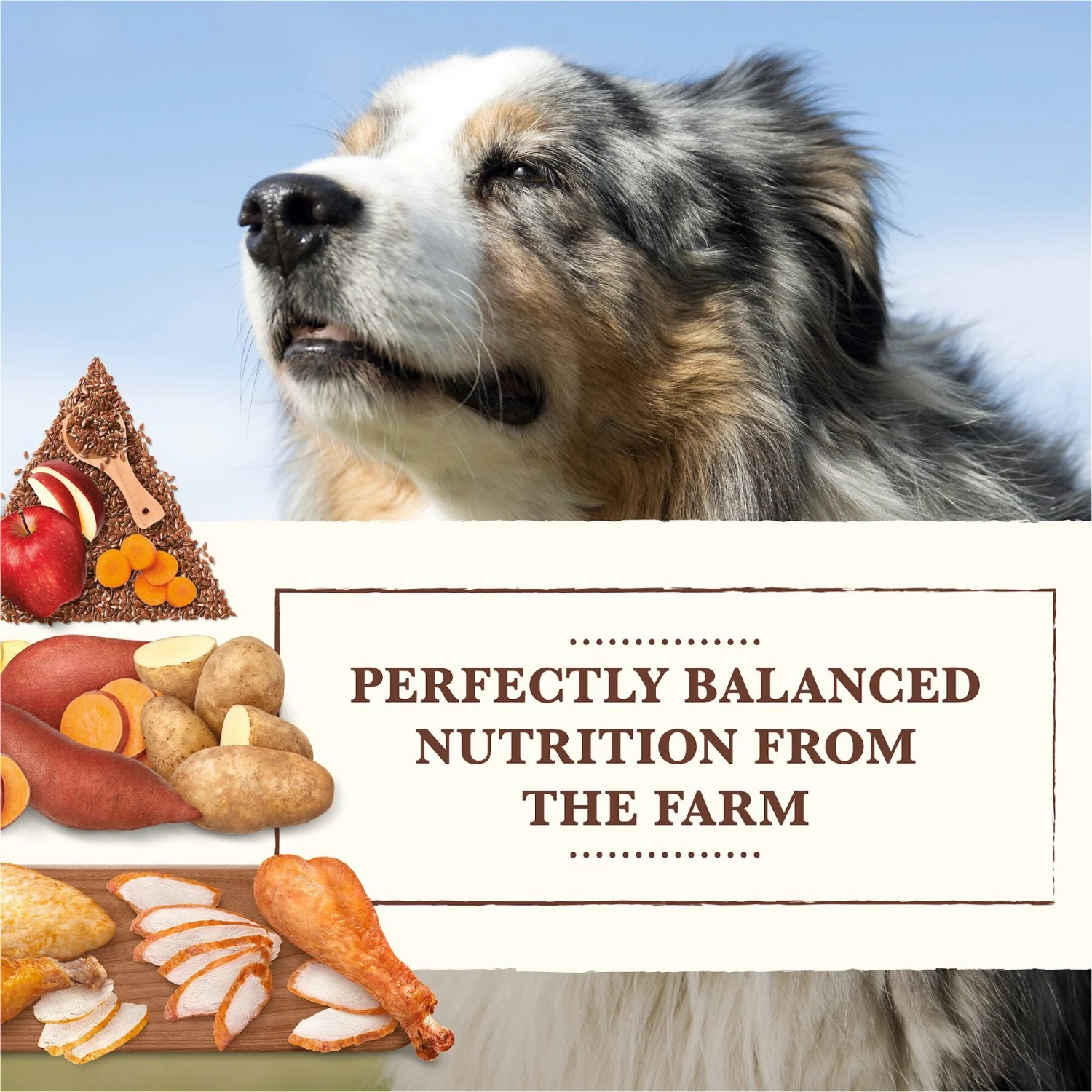 Whole Earth Farms Grain-Free Chicken & Turkey Recipe Dry Dog Food 5 Whole Earth Farms Grain-Free Chicken & Turkey Recipe Dry Dog Food - Image 3